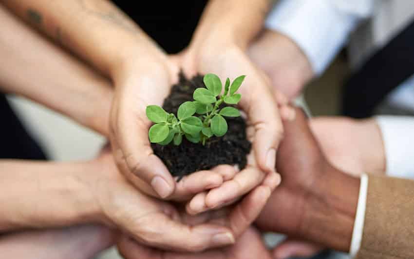 Empresas nacionais dão passos para reduzir desperdício